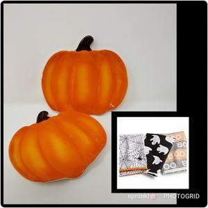 Pumpkin plates and kitchen towels bundle NWT